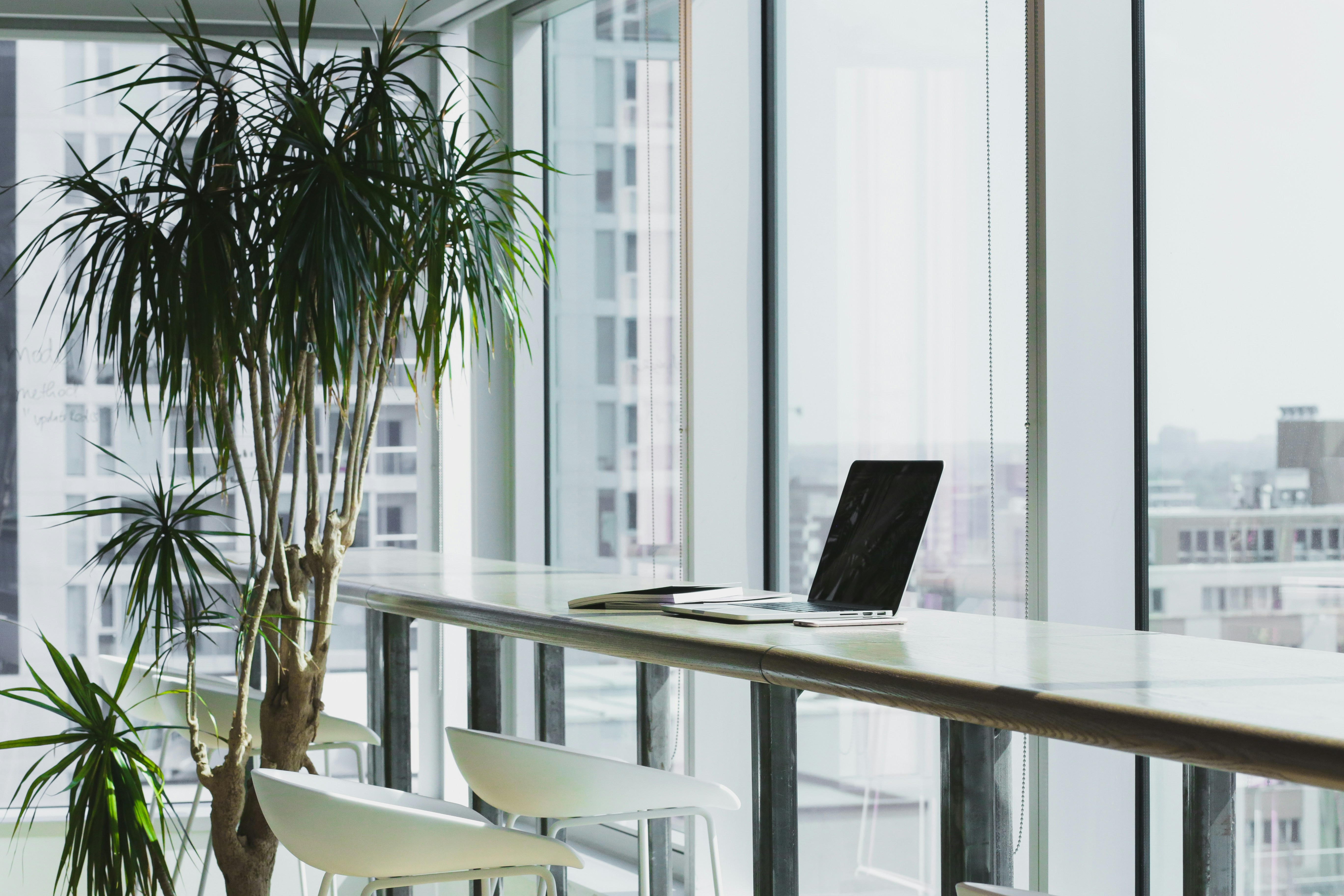 Creative workspace for modern web development